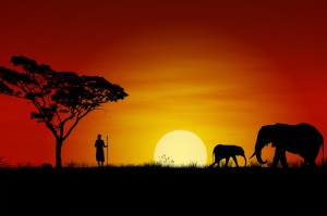 African Sunset with elephants and a Masai Warrior